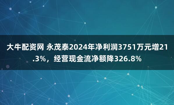 大牛配资网 永茂泰2024年净利润3751万元增21.3%，经营现金流净额降326.8%