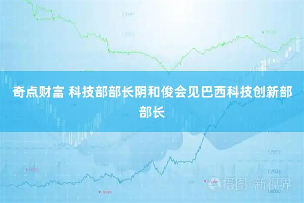 奇点财富 科技部部长阴和俊会见巴西科技创新部部长