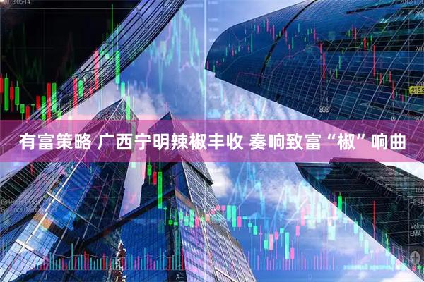有富策略 广西宁明辣椒丰收 奏响致富“椒”响曲