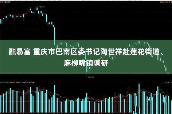 融易富 重庆市巴南区委书记陶世祥赴莲花街道、麻柳嘴镇调研